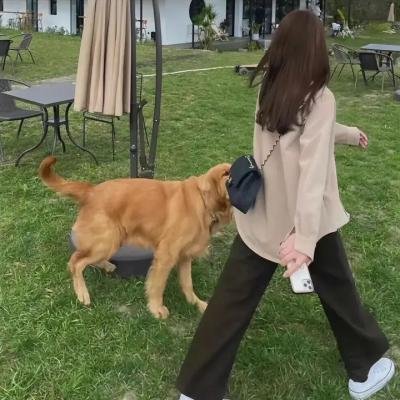 爱与复苏之日
