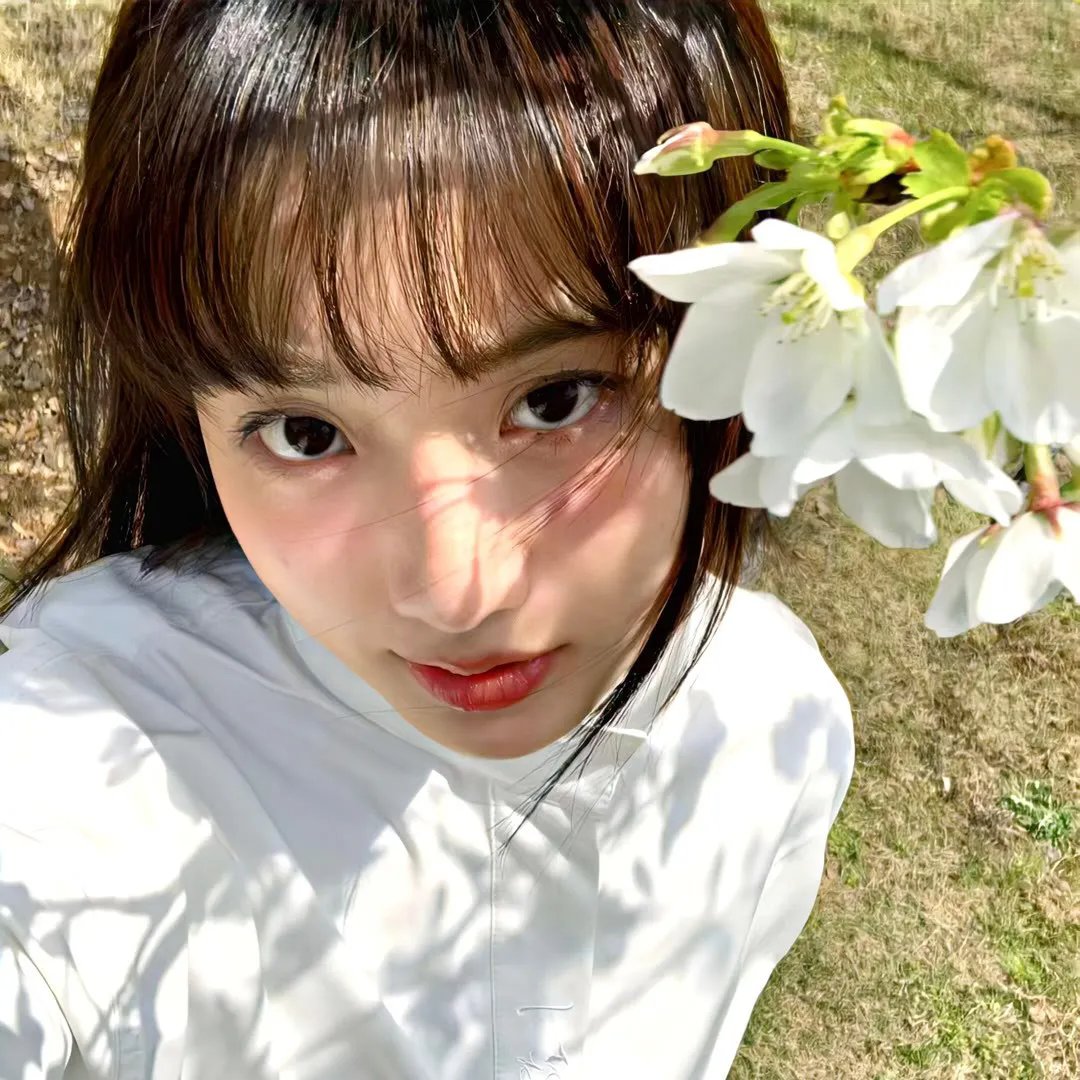 龙虎双响炮
